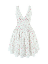Braylyn Lace Detail Floral Mini Dress