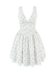 Braylyn Lace Detail Floral Mini Dress
