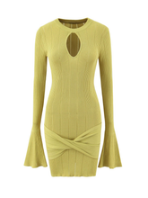 Raylyn Cut-Out Knit Mini Dress