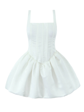 Brea Swan Corset Mini Dress