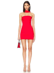 Mariana Mini Dress with Mesh Scarf