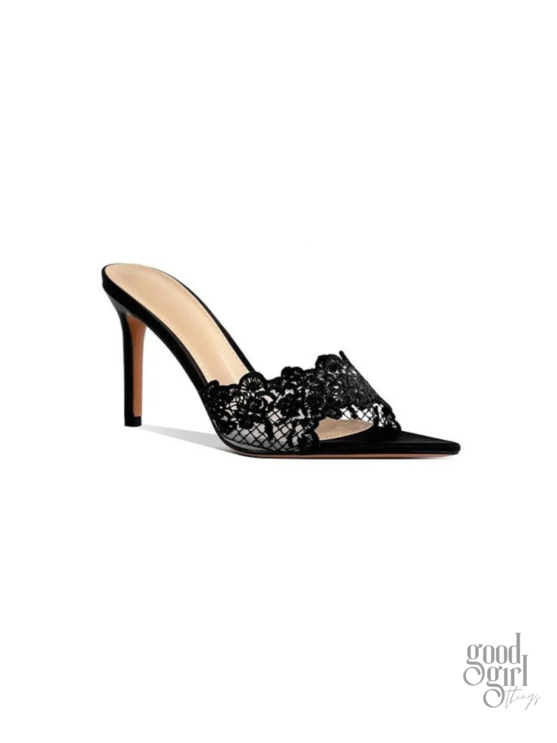 Nisa Lace Pointed-Toe Heeled Mules