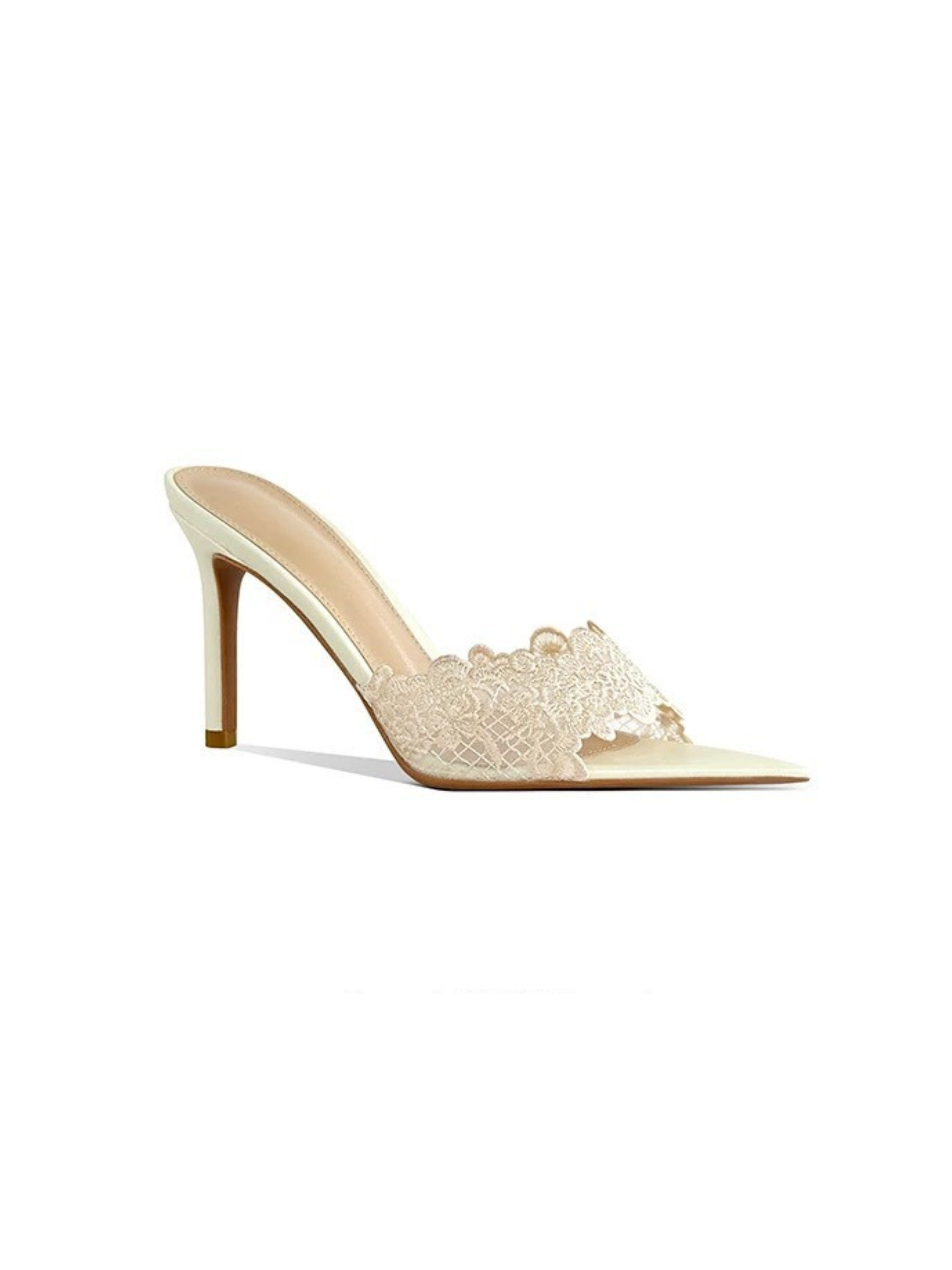 Nisa Lace Pointed-Toe Heeled Mules