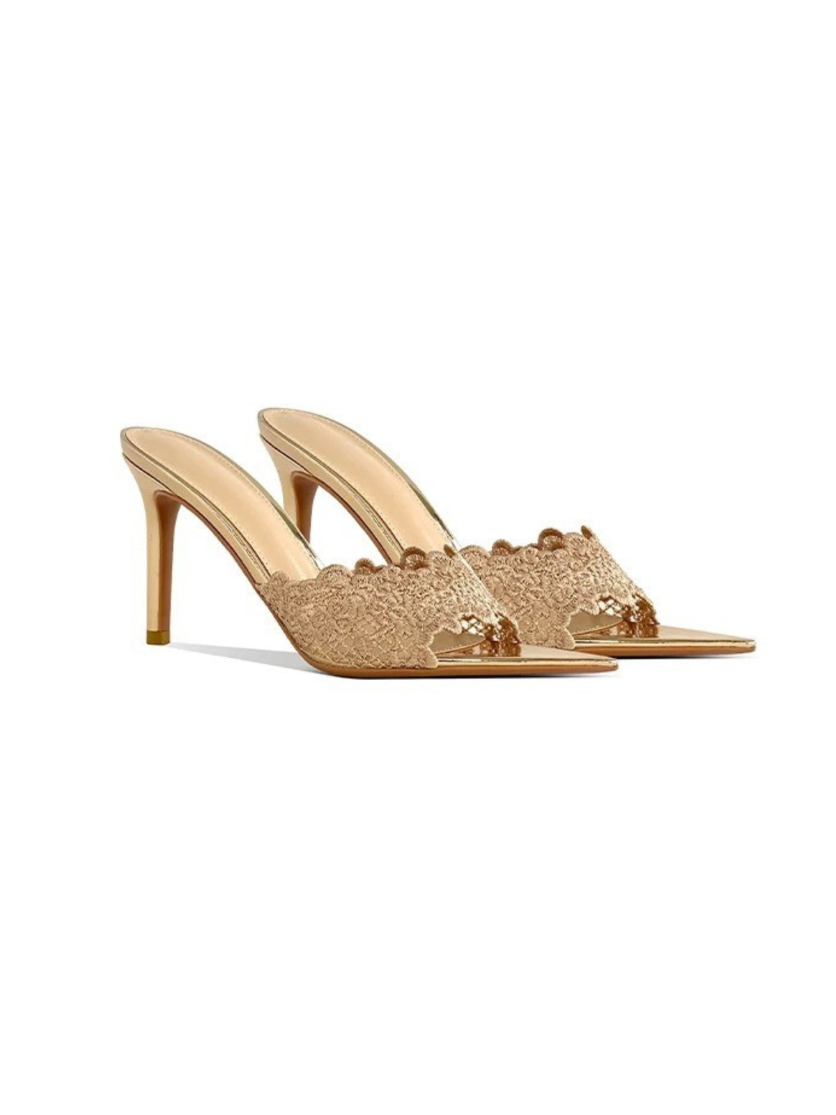 Nisa Lace Pointed-Toe Heeled Mules