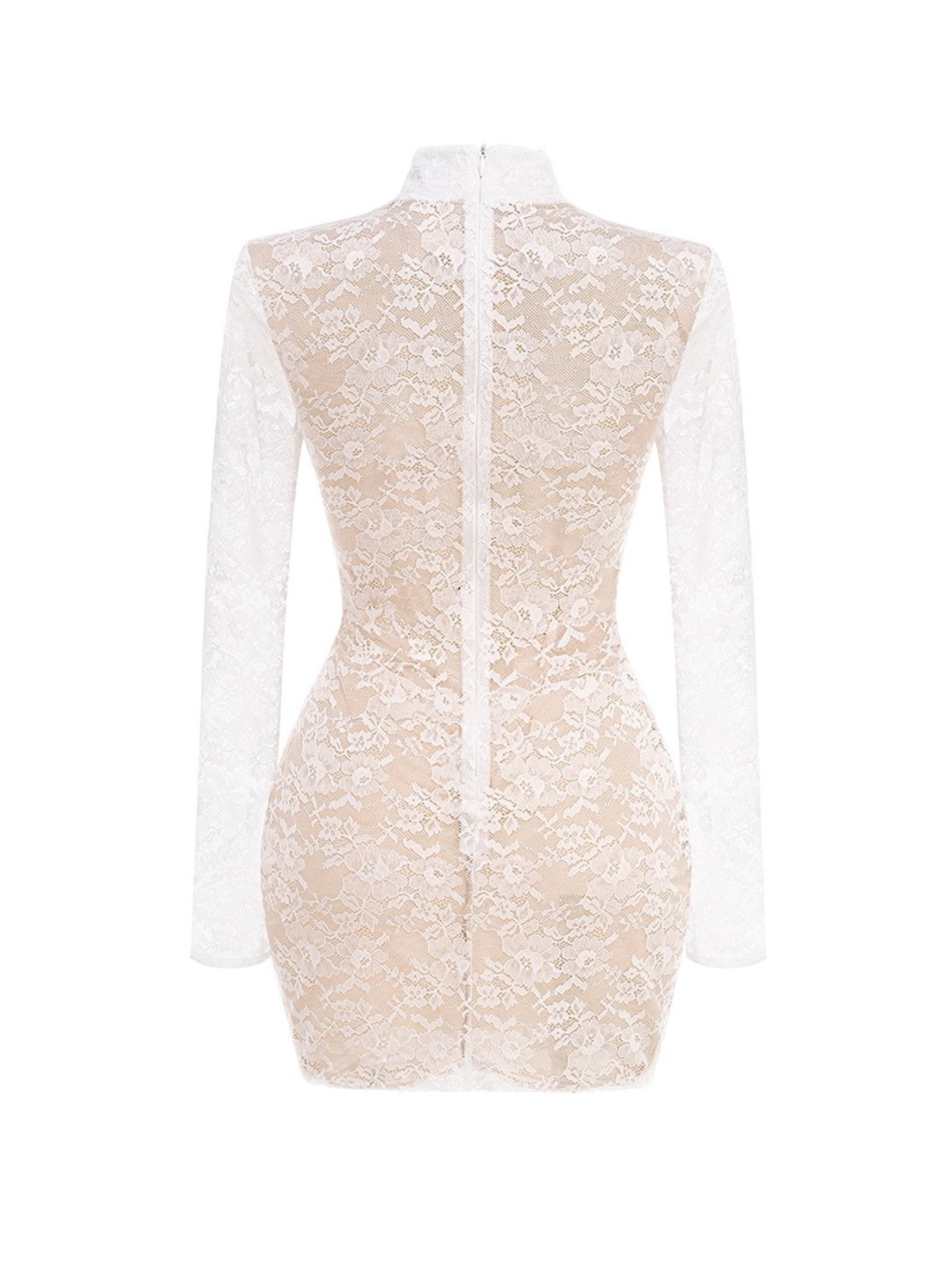 Cora Lace Long Sleeve Corset Mini Dress