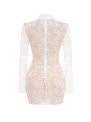 Cora Lace Long Sleeve Corset Mini Dress