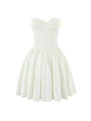 Chevelle Strapless Pleated Mini Dress