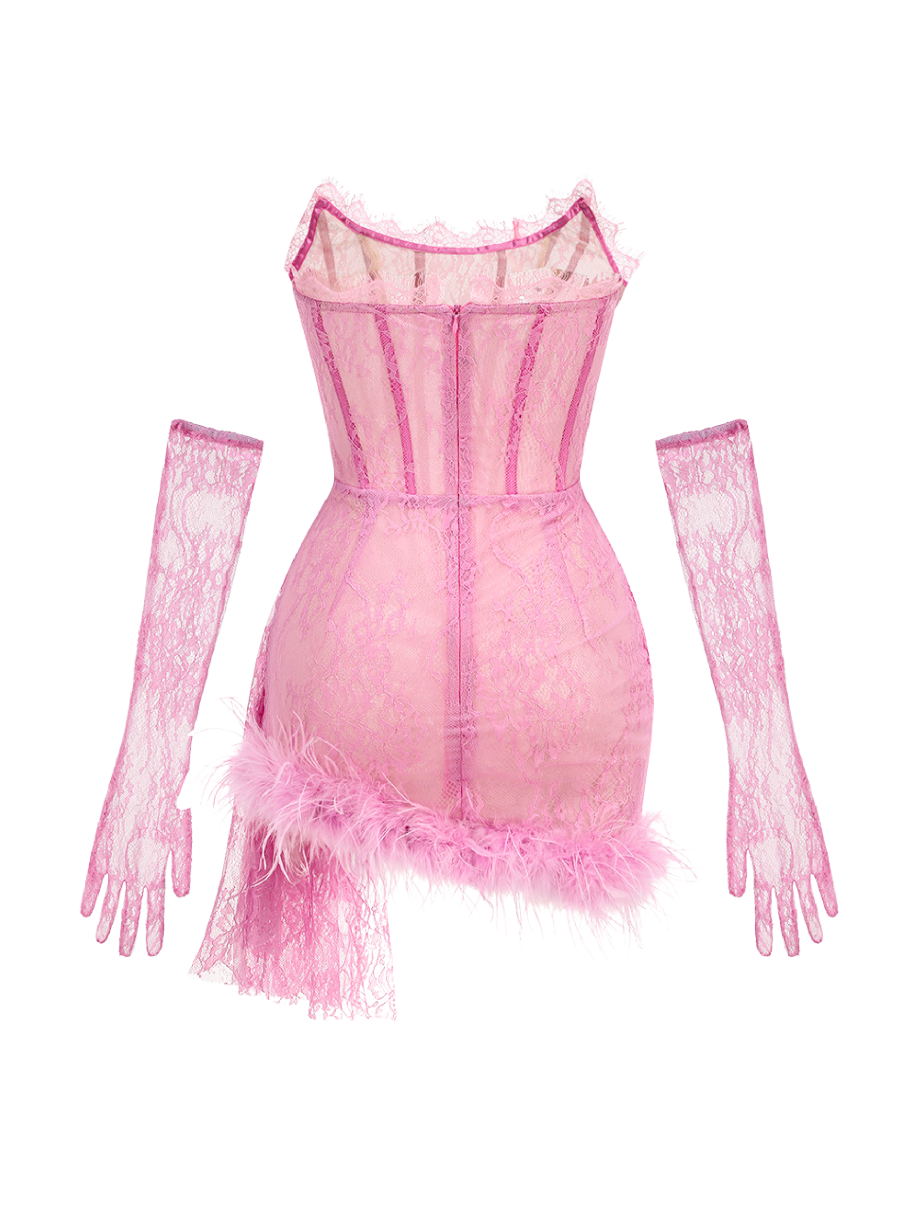 Dasia Lace Mini Dress