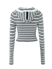Brie Striped Knit Crop Hoodie