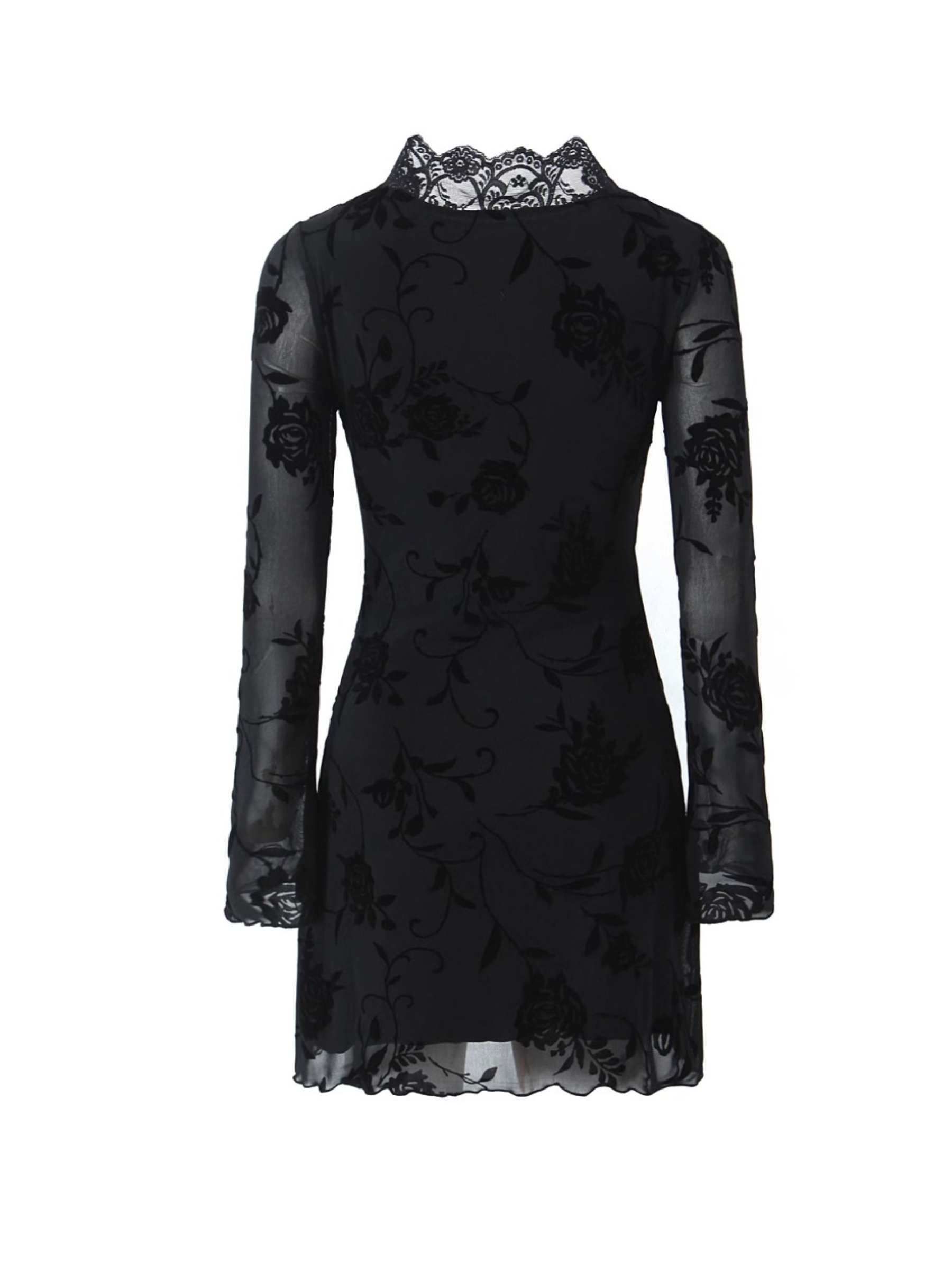 Raven Lace Mesh Mini Dress