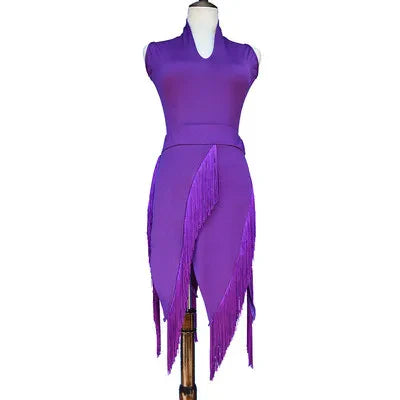 Dancewear Performance Ompetition Skirt Latin Dress Fringe Skirt Elegant