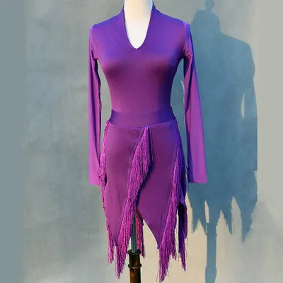 Dancewear Performance Ompetition Skirt Latin Dress Fringe Skirt Elegant