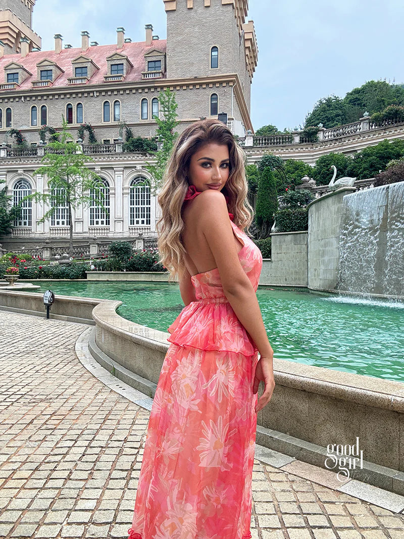 Diala Halter Mesh Maxi Dress