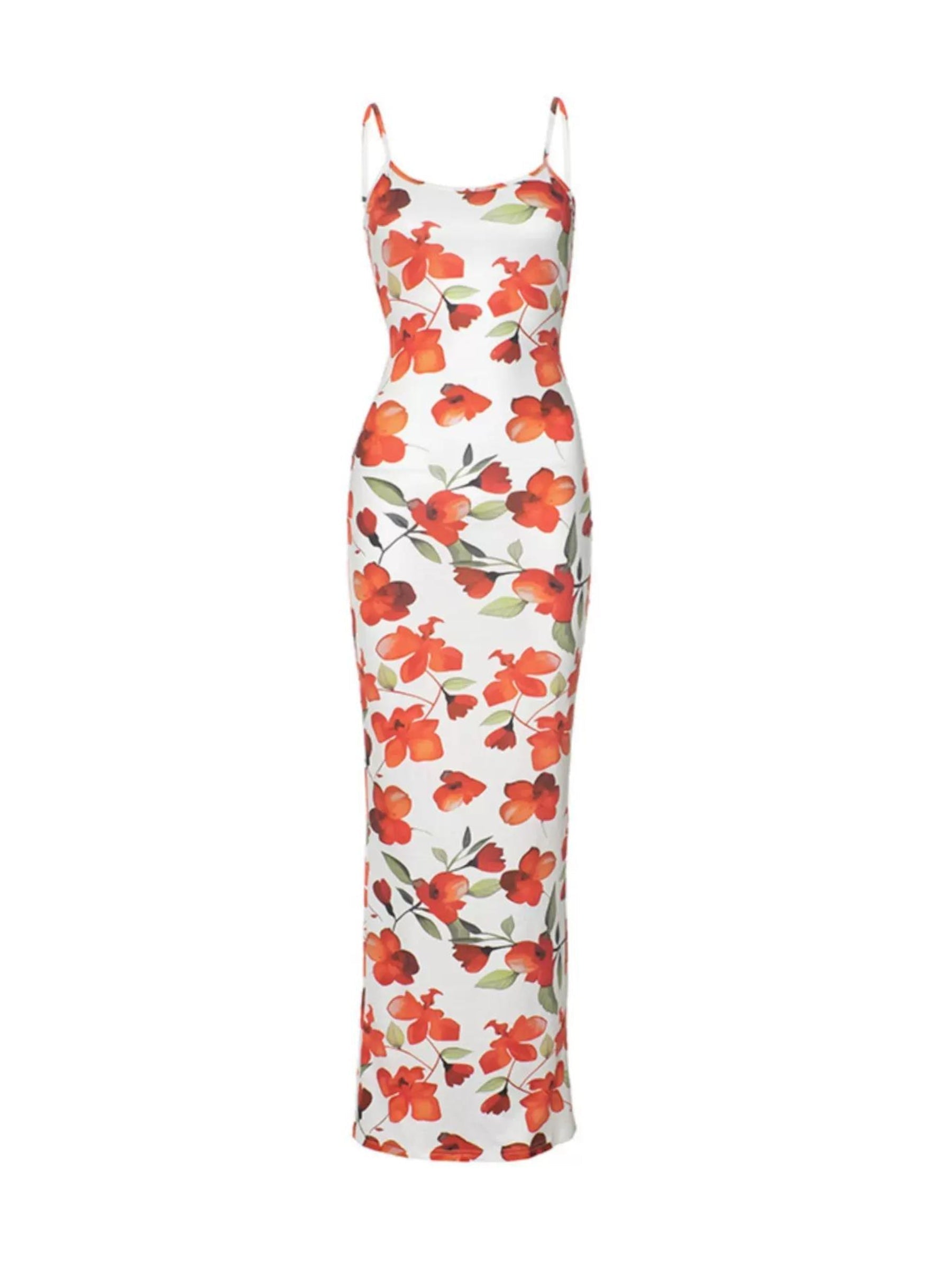 Zoe Floral Print Maxi Dress